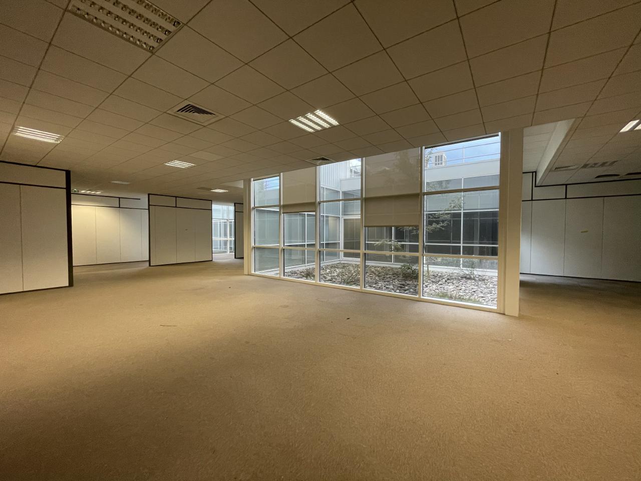 Local d'activité Toulouse 2186m² Location local d'activité Toulouse Haute-Garonne OLACT2207339 15
